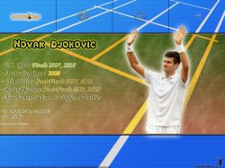 Novak Djokovic Title Info